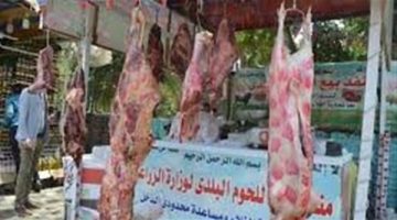 من خير مزارعنا لأهالينا.. الزراعة تطرح لحوم ضانى بـ320 جنيهًا للكيلو يومياً