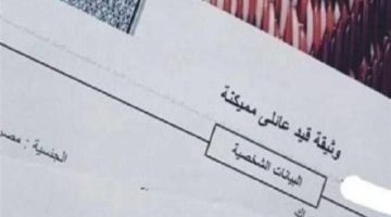 تعرف على شروط وطريقة استخراج قيد عائلي ورقي إلكترونيا