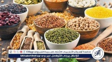 أسعار البقوليات اليوم الاثنين 8-7-2024 في المنيا