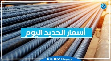 أسعار الحديد اليوم الاثنين 8-7-2024 في محافظة البحيرة