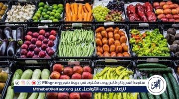 أسعار الخضروات اليوم الاثنين 8-7-2024 في المنيا