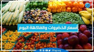 أسعار الخضروات والفاكهة اليوم السبت 6-7-2024 في أسواق محافظة البحيرة