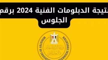 الآن رابط نتيجة الدبلومات الفنية الدور الأول 2024 عبر موقع وزارة التربية والتعليم الرسمي