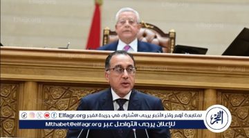 الشعب المصري يتوقع من الحكومة الجديدة تغيرات في الأداء خلال الفترة المقبلة