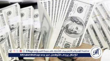 سعر الدولار مقابل الجنيه المصري اليوم الاثنين 8 يوليو 2024