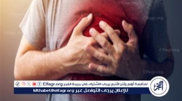 صحة القلب والأوعية لها تأثير كبير على الذاكرة والمخ