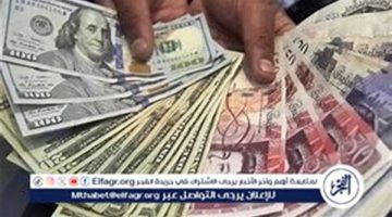 أسعار العملات العربية والاجنبية في البنك المركزي اليوم الثلاثاء