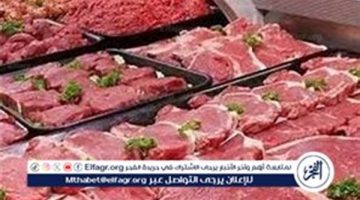 أسعار اللحوم في مصر اليوم الثلاثاء 27-8-2024