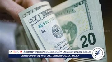 استقرار سعر الدولار أمام الجنيه المصري: تفاصيل أسعار اليوم