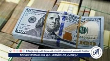 استقرار سعر الدولار مقابل الجنيه المصري اليوم الخميس 29 أغسطس 2024 بعد انخفاضه أمس