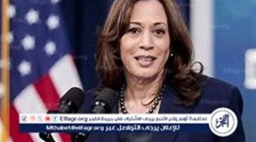 “بريندا عبدالعال”.. من هي المحامية المصرية التي تعزز حملة كامالا هاريس في سباق انتخابات البيت الأبيض؟