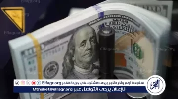 تحديث أسعار الدولار أمام الجنيه المصري صباح الخميس 29 أغسطس 2024