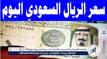 تعرف علي سعر الريال السعودي أمام الجنيه اليوم الجمعة داخل البنوك