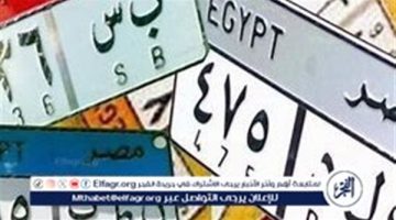 تفاصيل قرار تعديل اللوائح الخاصة باللوحات المعدنية للمركبات في مصر