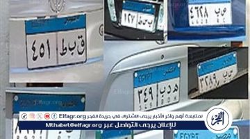 تكلفتها 225 جنيه.. تفاصيل قرار تطوير شكل اللوحات المعدنية للسيارات (فيديو)