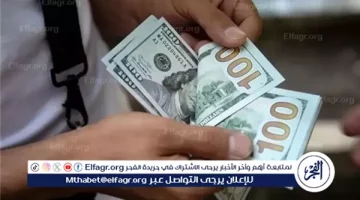 ثبات أسعار الدولار في البنوك المصرية قبيل اجتماع البنك المركزي