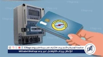 خطوات طلب تركيب عداد كهرباء بدل فاقد إلكترونيا.. التزم بالدقة في بياناتك لتجنب الأخطاء