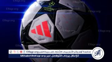 دوري الأبطال يكشف عن الكرة الجديدة لموسم 2024-2025