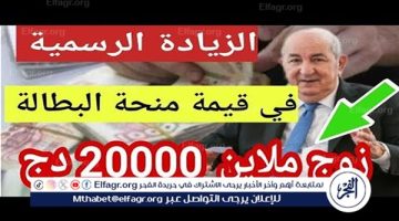 فرحة للشعب الجزائري.. رفع منحة البطالة إلى 20،000 دينار جزائري لكل المستفيدين في 2025 – بيان من الرئيس تبون