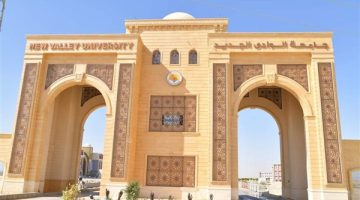 القيادة السياسية توافق على إنشاء أول جامعة أهلية بالوادي الجديد