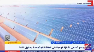 أستاذ هندسة: مصر تستهدف الوصول بالطاقة المتجددة إلى 42% في 2030