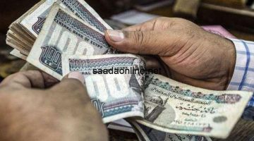 حالة وحيدة لصرف معاش كامل من التأمينات بعد اشتراك 3 أشهر فقط