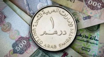 سعر الدرهم الإماراتي مقابل الجنيه المصري اليوم الأربعاء 20 أكتوبر 2024