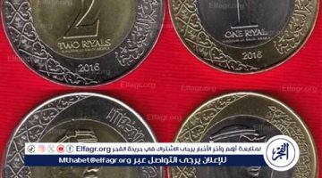 أسعار الريال السعودي مقابل الجنيه المصري اليوم الأربعاء 25 سبتمبر 2024