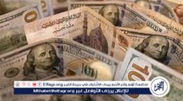 استقرار سعر الدولار مقابل الجنيه المصري اليوم الخميس 5 سبتمبر 2024