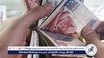 تفاصيل صرف معاشات شهر أكتوبر 2024