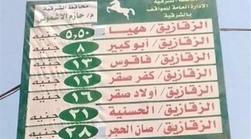 سائقو الأجرة “مافيا”.. وأهالي الشرقية: لا رقابة من المسئولين