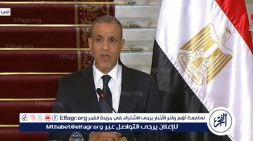 عاجل| وزير الخارجية يُعرب عن تقديره لاعتراف إسبانيا والنرويج وأيرلندا وسلوفينيا بفلسطين