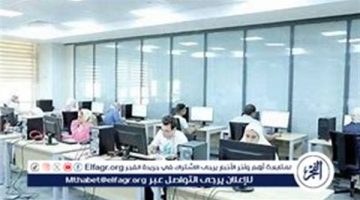 كليات ومعاهد تقدم وظائف مضمونة