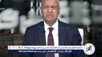 مصر لم تنشغل عن وقف العدوان البربري الصهيوني على غزة (فيديو)