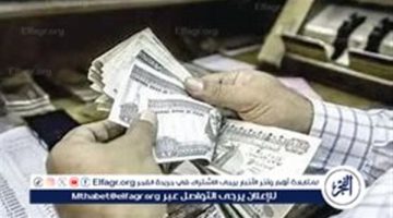 معايير التوزيع وتحديات التحول من الدعم العيني