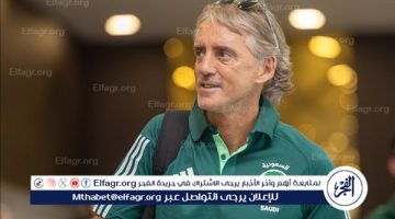 هل ينجح بنفيكا في خطف مانشيني من المنتخب السعودي ؟