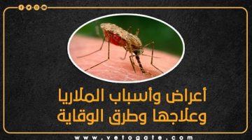 أعراض وأسباب الملاريا وعلاجها وطرق الوقاية (إنفوجراف)