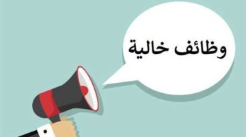 وظائف الشباب والرياضة.. الشروط والمميزات وطريقة التقديم