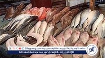 أسعار المأكولات البحرية والجمبري اليوم الثلاثاء 29-10 -2024 في محافظة الدقهلية