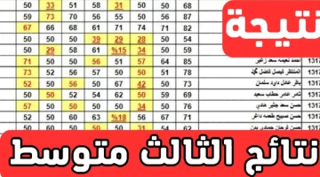 احصل على رابط تحميل نتائج الثالث متوسط للدور الثالث 2024 بصيغة PDF لجميع المحافظات عبر موقع نتائجنا