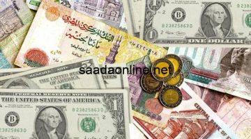 سعر الدولار مقابل الجنيه المصري اليوم الثلاثاء 1 أكتوبر 2024 داخل البنوك والسوق السوداء