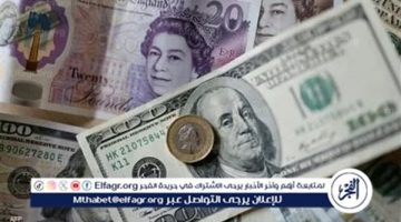 سعر الجنيه الإسترليني بالبنك المركزي المصري في تعاملات اليوم الأحد 20-10-2024