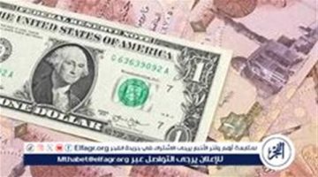 سعر الدولار اليوم في مصر مع انخفاض طفيف في بعض البنوك