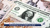 عاجل|أستاذ اقتصاد: مصر لا تتحمل تعويم آخر لسعر الصرف