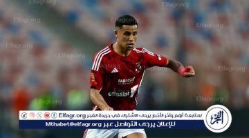 عادل.. رد فعل غريب من رضا سليم بعد فوز الأهلي أمام العين الإماراتي