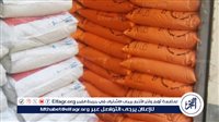 عضو زراعة البرلمان يزف بشرى سارة للمزارعين بشأن الأسمدة (فيديو)