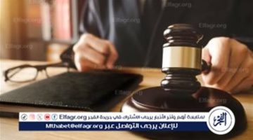 كيف عاقب القانون الموظف الذي يستعمل وظيفته لوقف تنفيذ الأوامر الصادرة من الحكومة؟