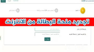 “anem.dz” رابط تجديد منحة البطالة من خلال موقع الوكالة الوطنية للتشغيل والمستندات المطلوبة للتسجيل في منحة البطالة الجزائر 2024