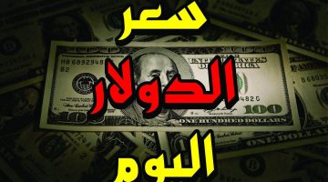 كم سعر الدولار في السوق السوداء اليوم الاحد بتاريخ 3\11\2024 مقابل الجنيه المصري وفي البنوك المصرية