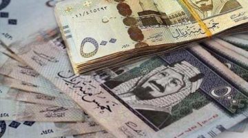 وصل كام؟.. سعر الريال السعودي اليوم الاحد 3 نوفمبر 2024 فى السوق السوداء وجميع البنوك المصريه